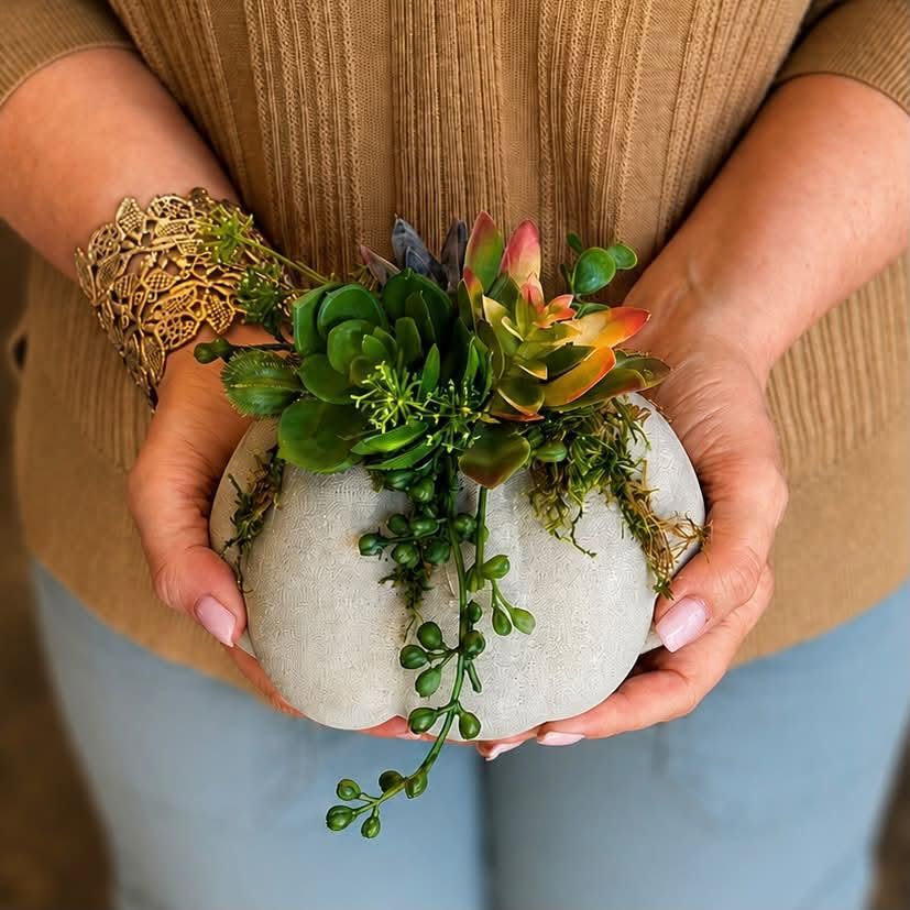 Concrete Pumpkin & Succulent Workshop - Sept 6th