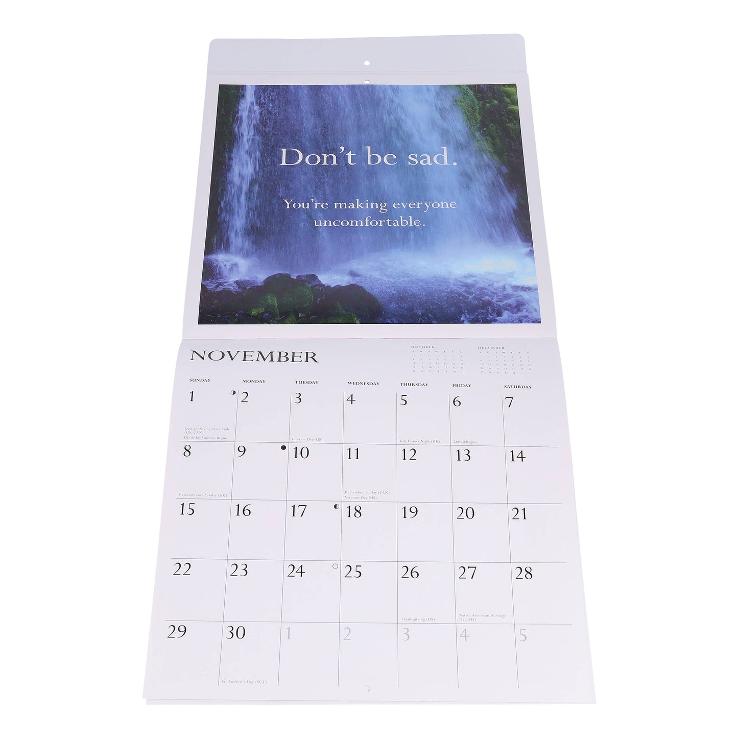 Disappointing Affirmations 2026 Wall Calendar