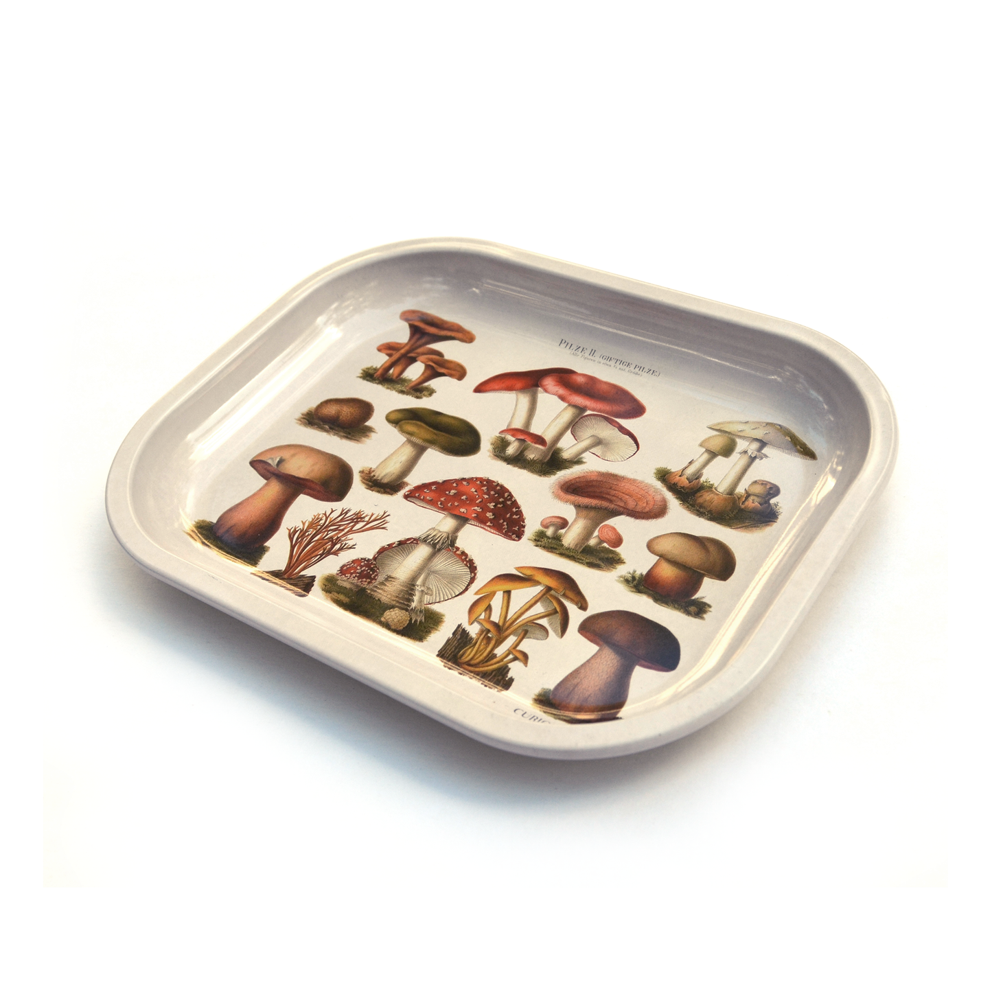 Mushroom Tray