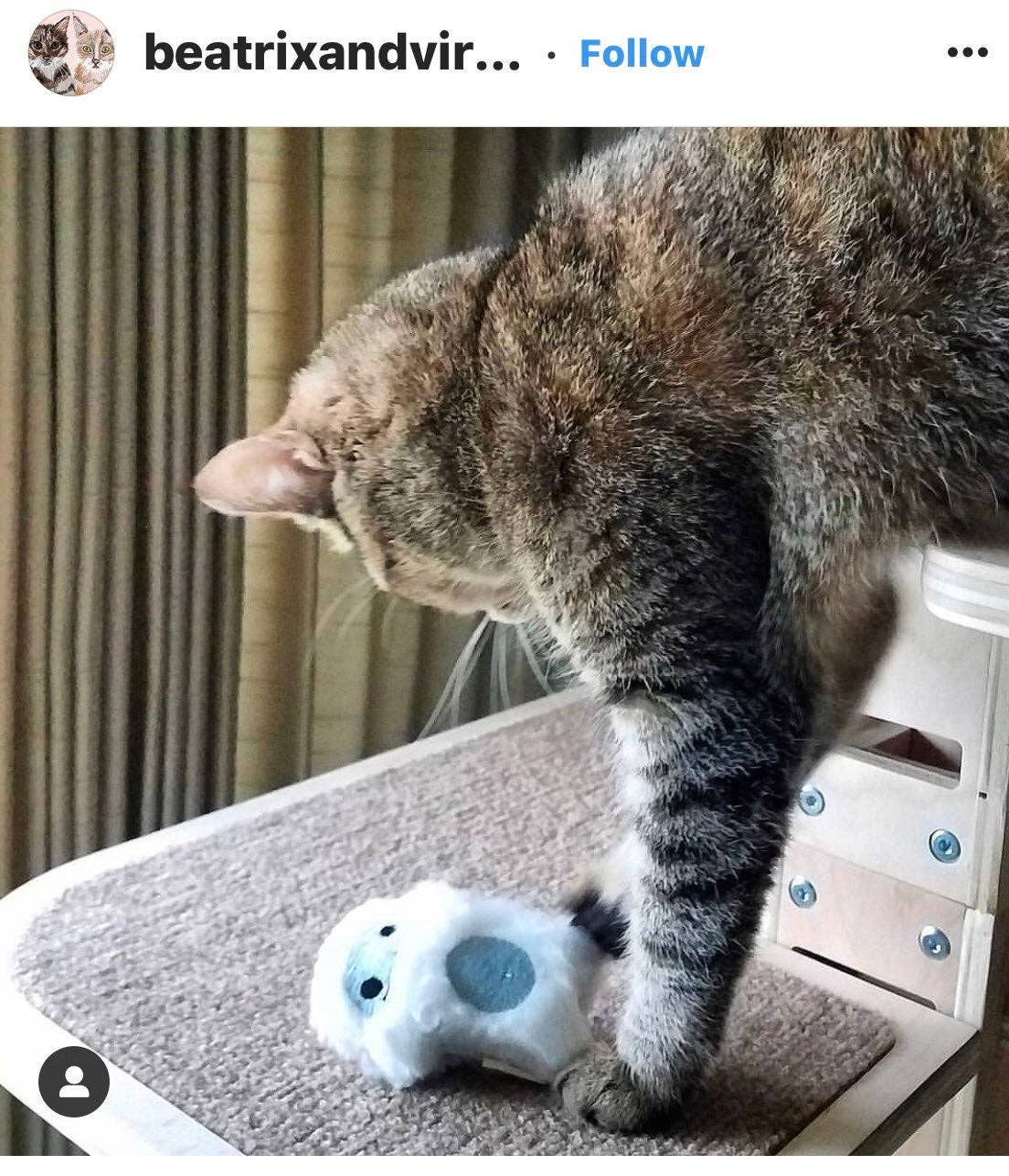 Catnip Yeti Toy