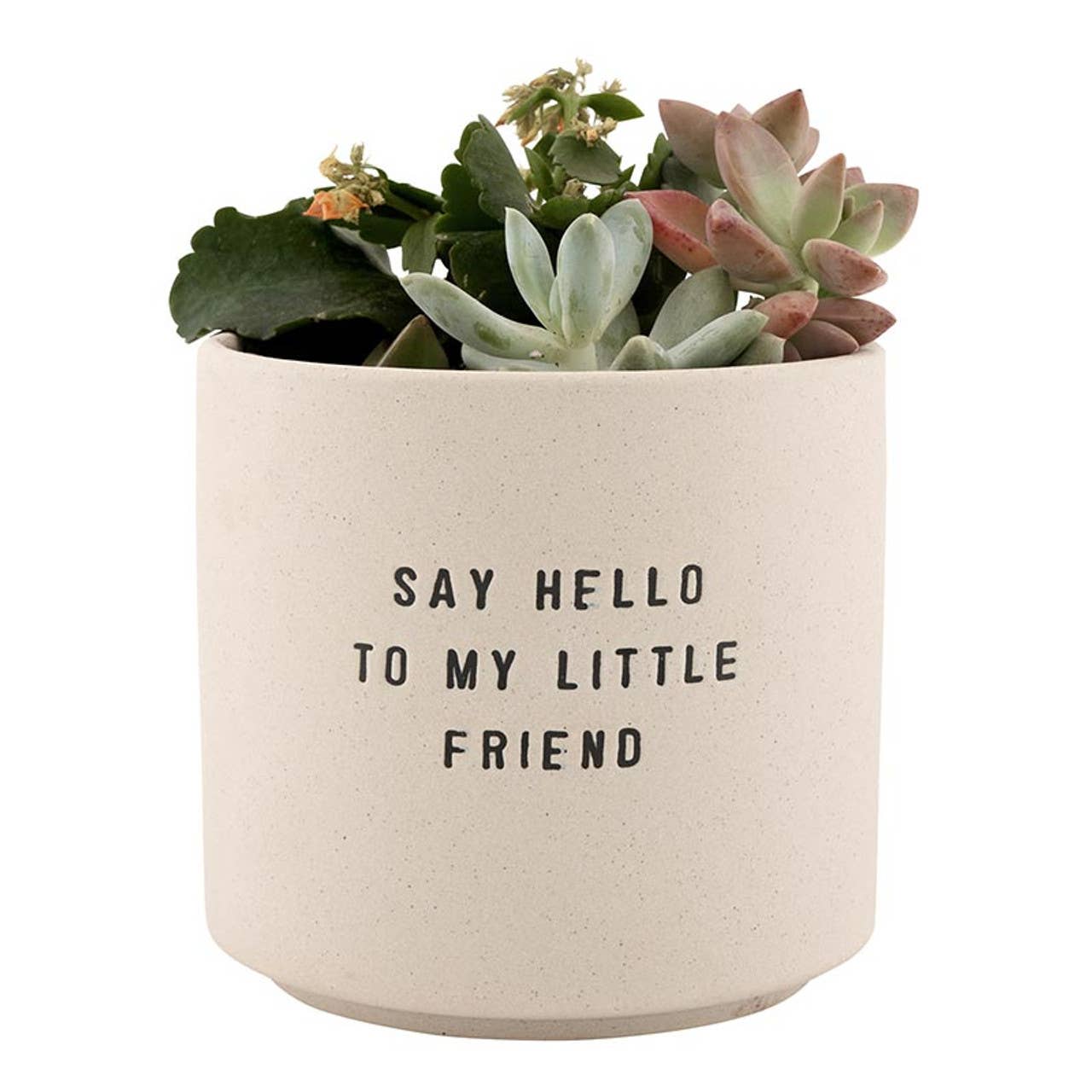 Say Hello Pots - Set of 2
