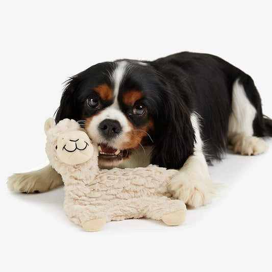 Alpaca Dog Toy