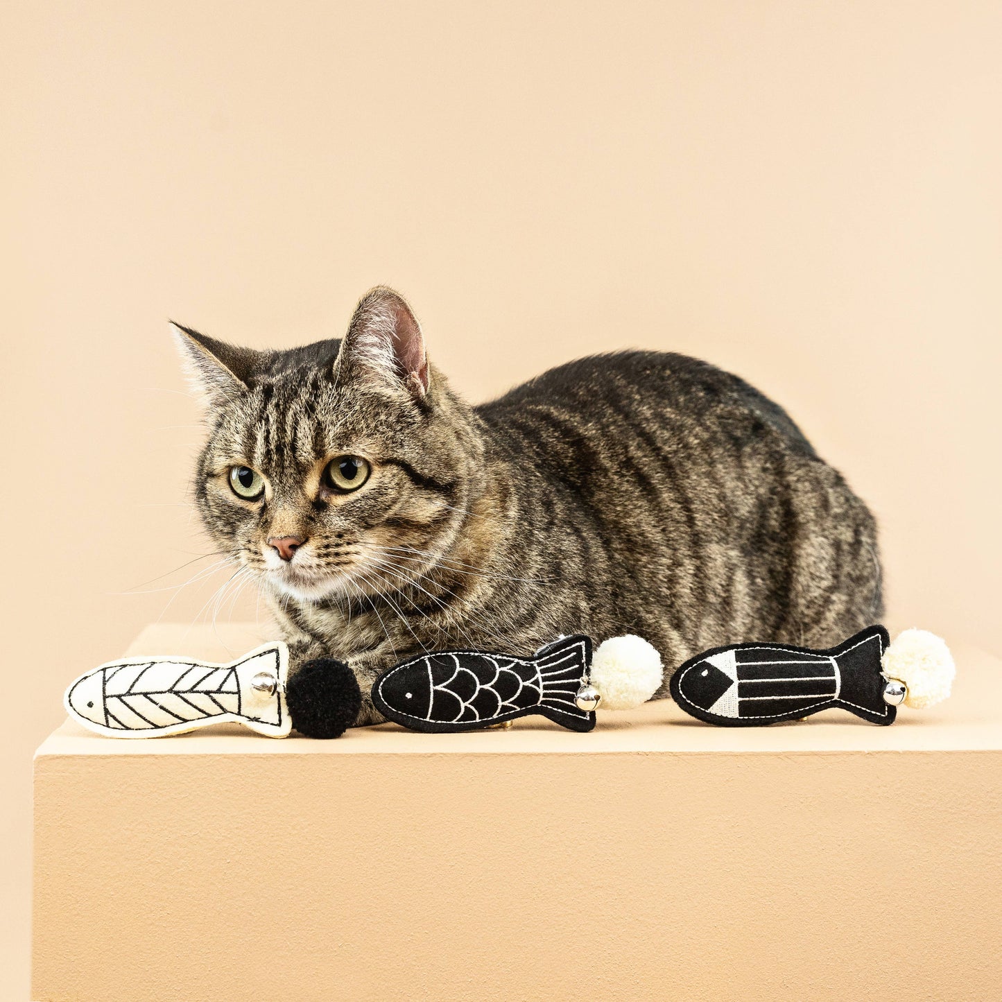 Off The Scales Cat Toy Mini Set 3pc