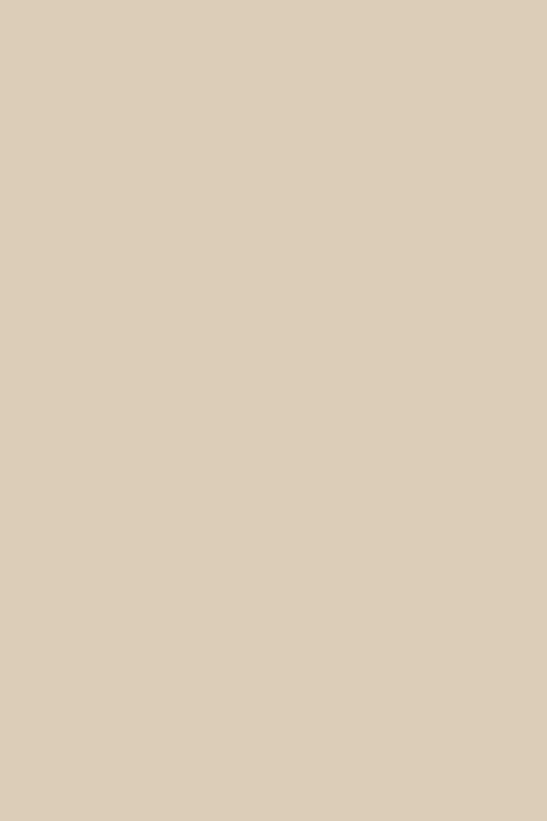 Sandstone Alchemy Paint