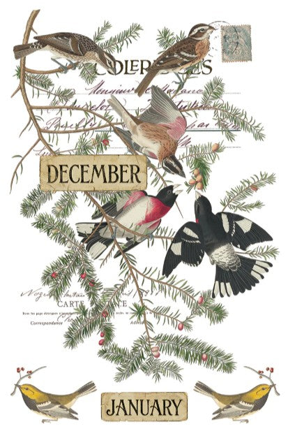Winter's Calling IOD Transfer 8"×12" Pad (8 Sheets)
