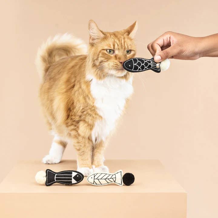 Off The Scales Cat Toy Mini Set 3pc