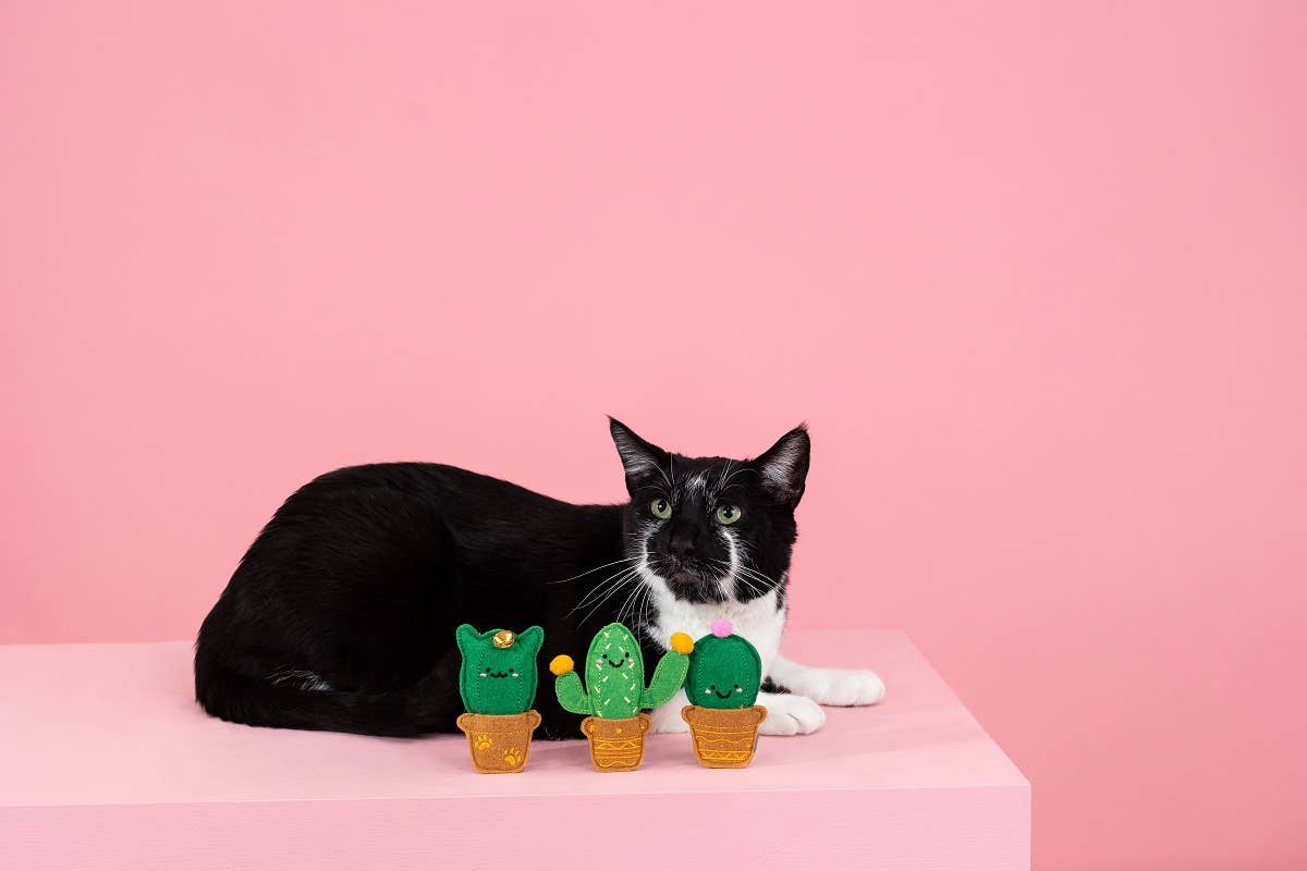 Cat-us Friends Cat Toys Set 3pc