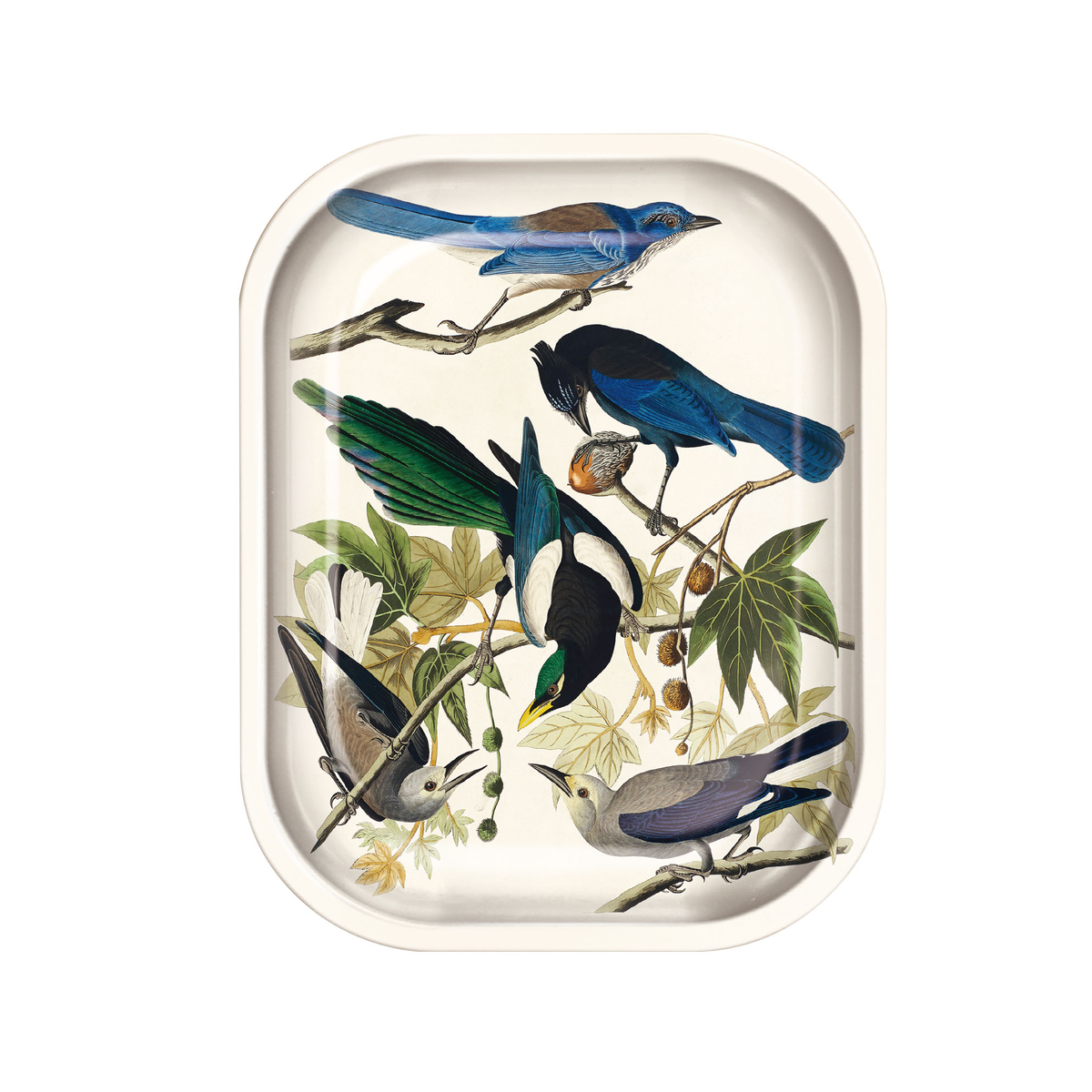Audubon Magpie and Jaybirds Tray