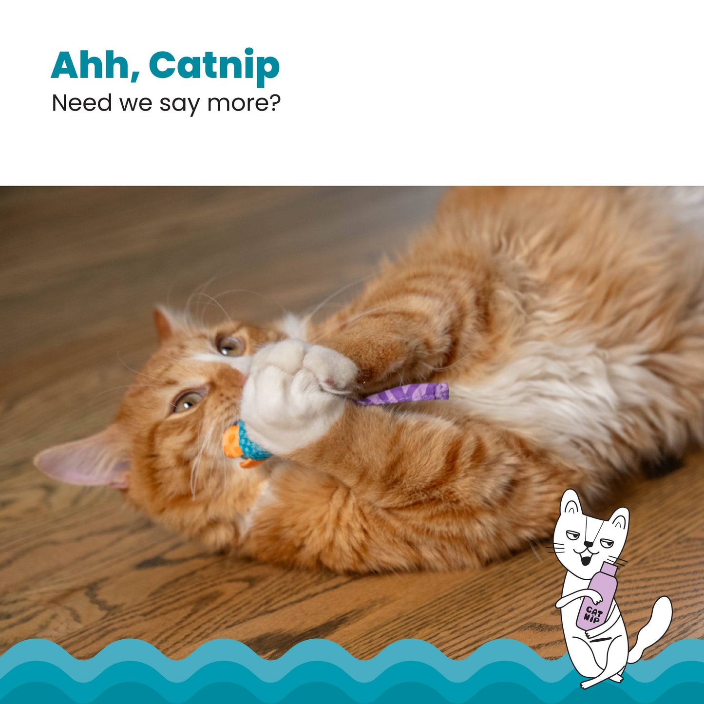 Catnip Chew Mice Dental Health Cat Toy 2pc