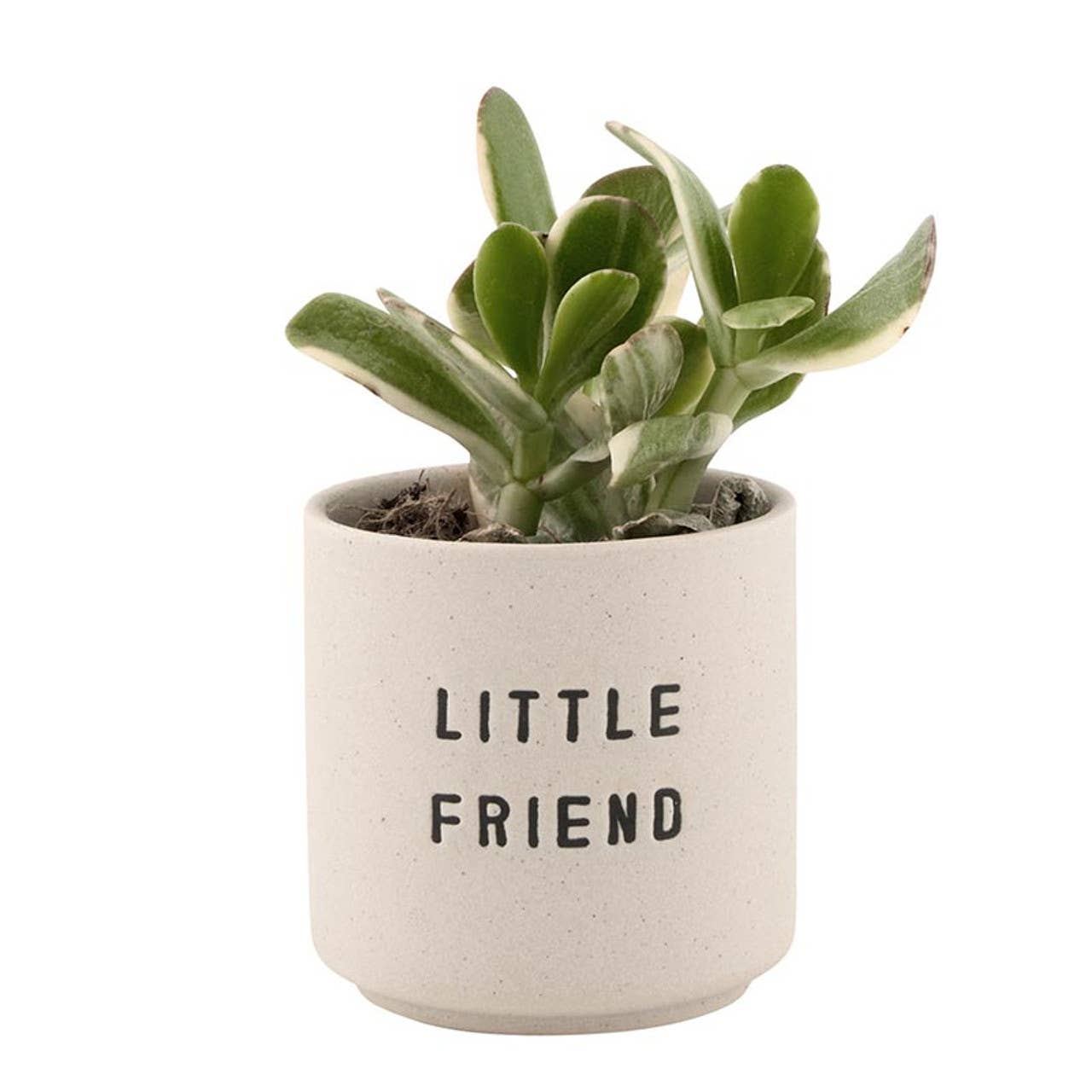 Say Hello Pots - Set of 2