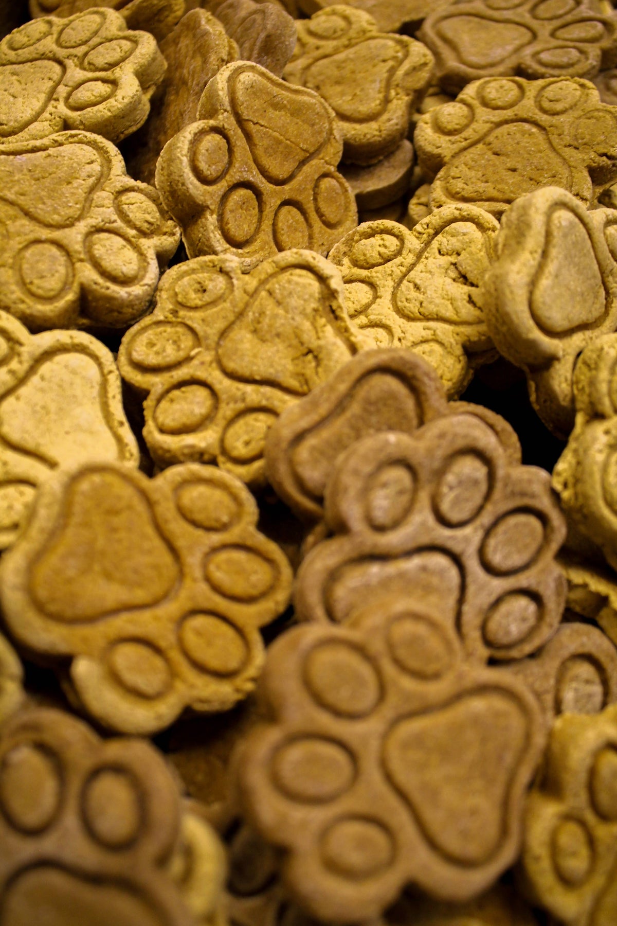 Pumpkin Paws - Dog Treats
