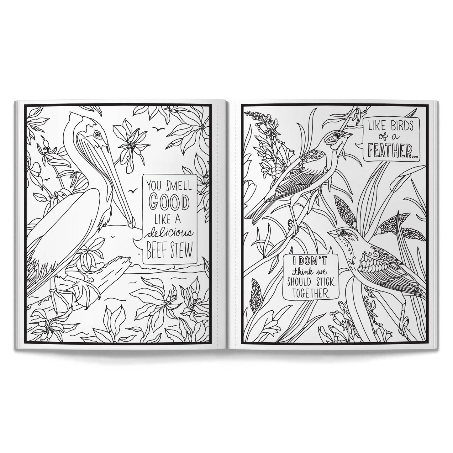 Salty Birds Coloring Book