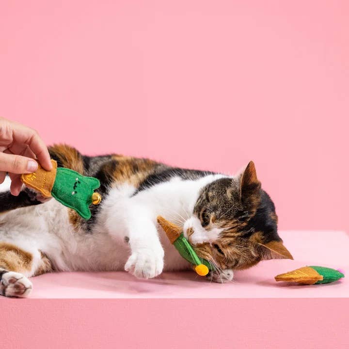 Cat-us Friends Cat Toys Set 3pc