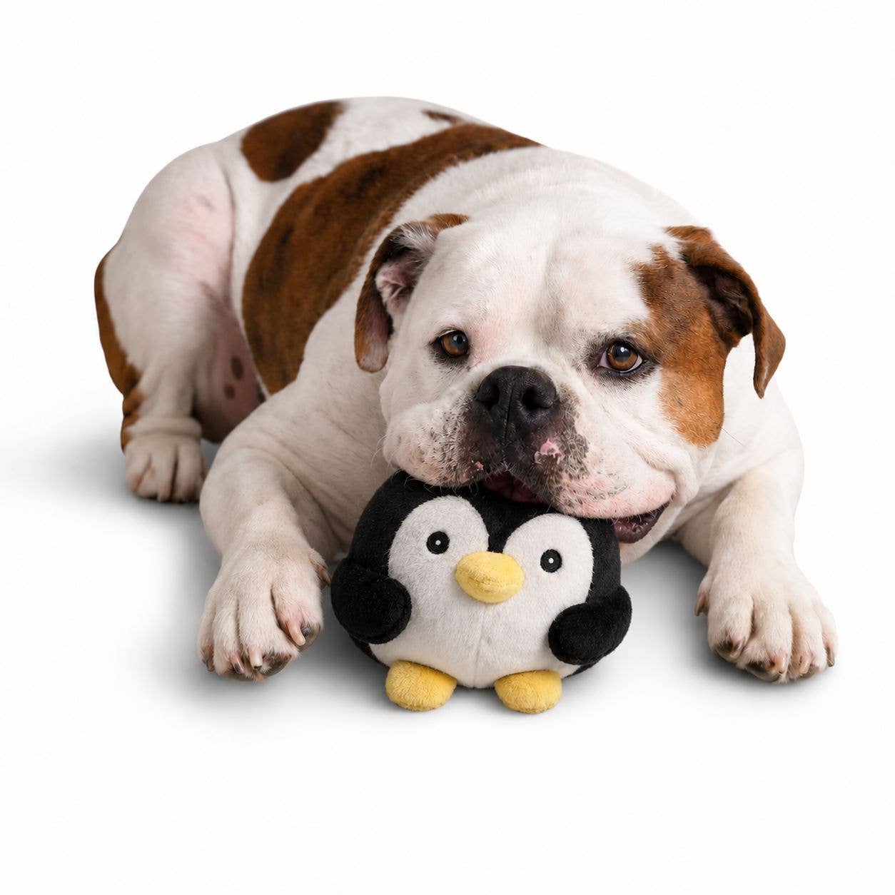 Penguin Dog Toy