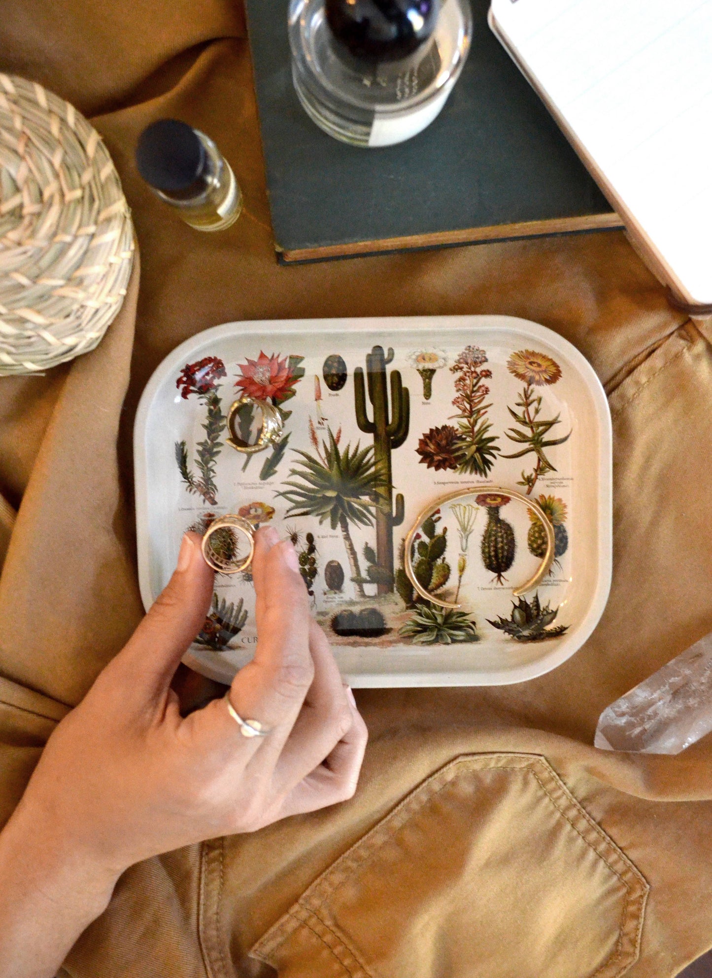 Cactus Catchall Tray