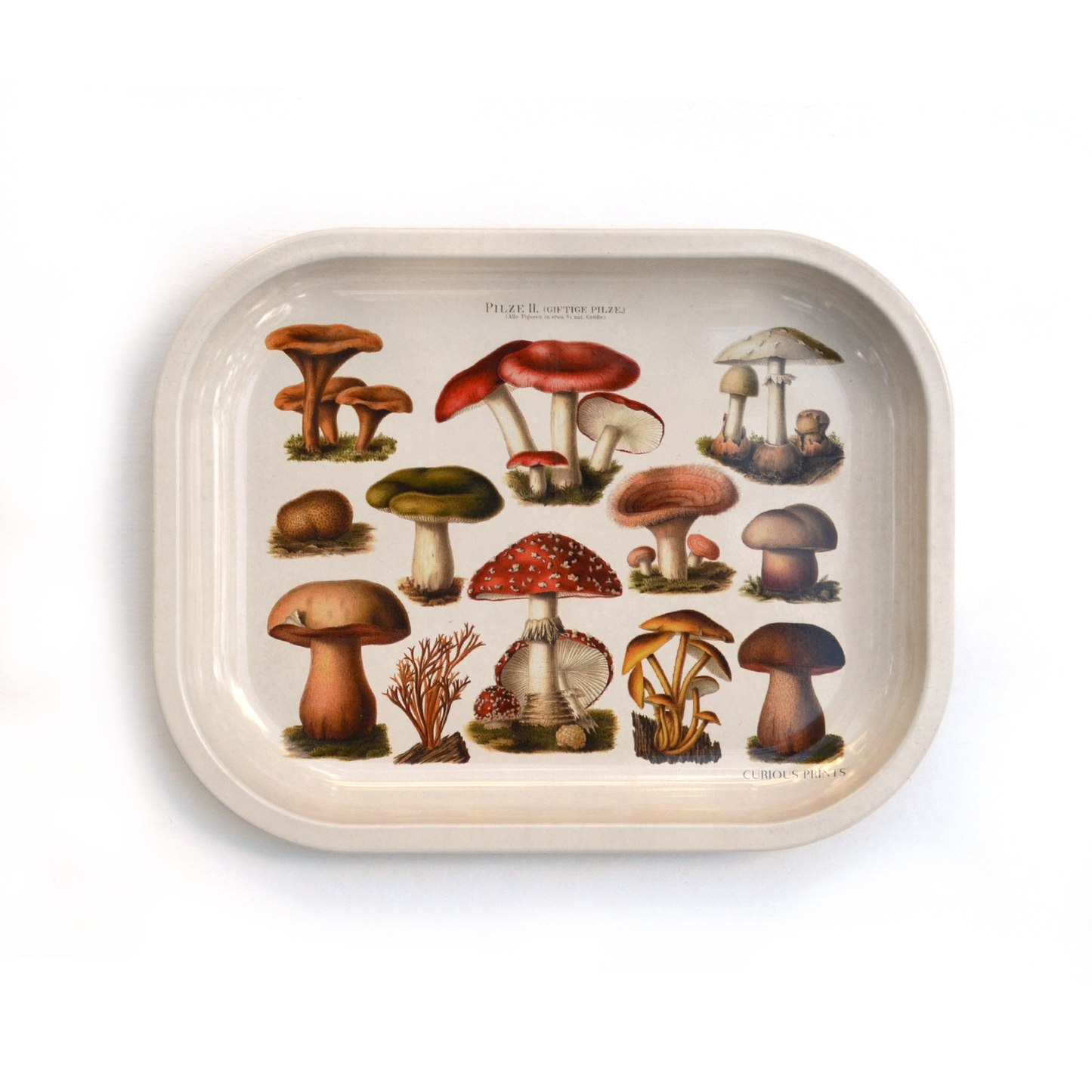 Mushroom Tray