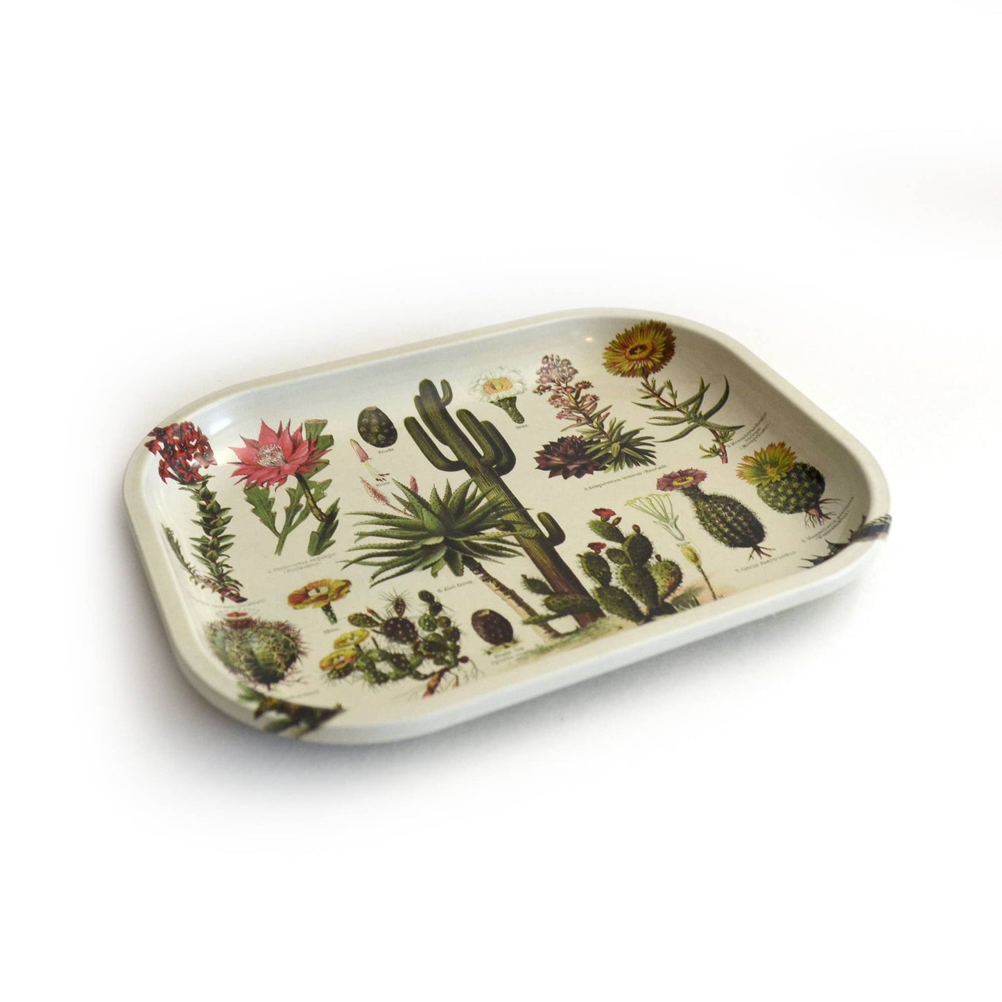 Cactus Catchall Tray