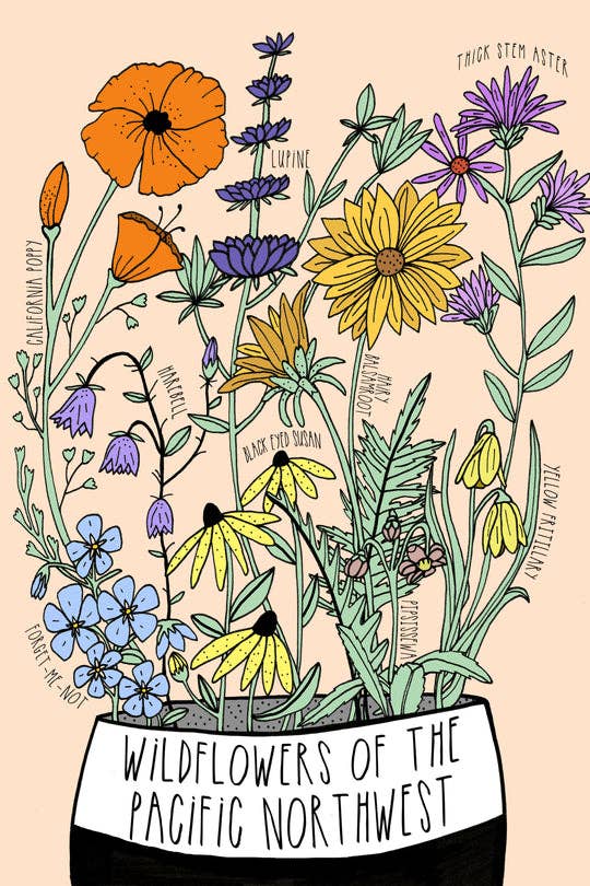 Wildflowers of Pacific Northwest Postcard